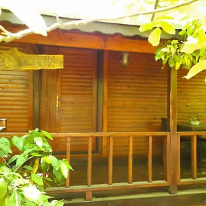 Oda ve Kahvaltı Endemik Bungalov